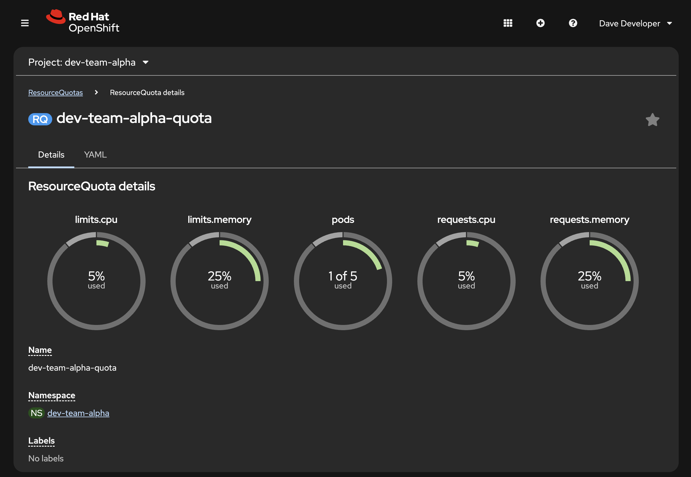 ResourceQuota page reflecting new usage by the Pod