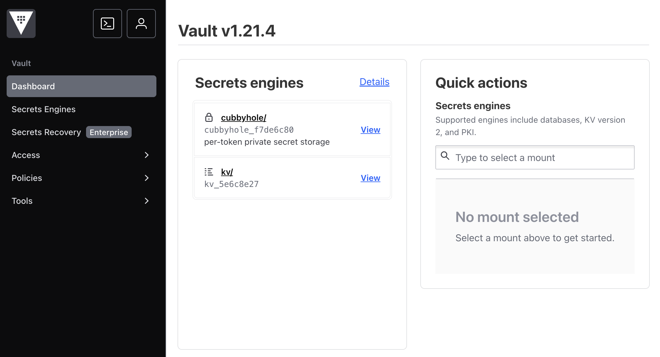 The Vault UI, as seen on initial login