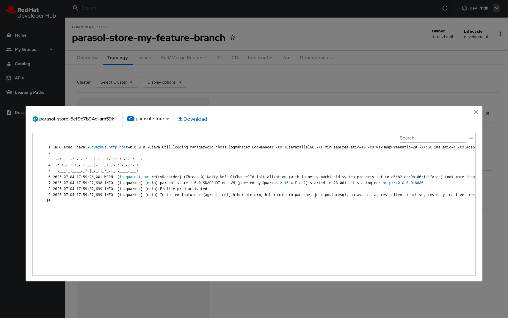 feature branch deployment pod log